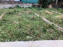 Thumb-Bán đất nền sổ đỏ – 42.8m2 Giá: 1.85tỷ -Xã Chương Dương, Thường Tín (bán 2 lô gần nhau).-1