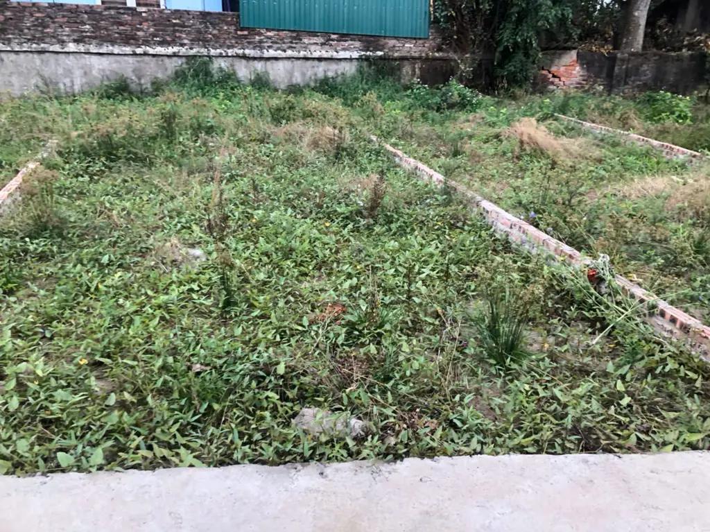 Main-Bán đất nền sổ đỏ – 42.8m2 Giá: 1.85tỷ -Xã Chương Dương, Thường Tín (bán 2 lô gần nhau).-0