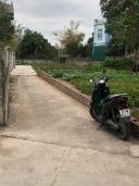 Thumb-Bán đất nền sổ đỏ – 42.8m2 Giá: 1.85tỷ -Xã Chương Dương, Thường Tín (bán 2 lô gần nhau).-3
