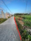 Thumb-1000m2 đất cây hằng năm thuộc xã Bình Tâm, TP. Tân An, Long An-4