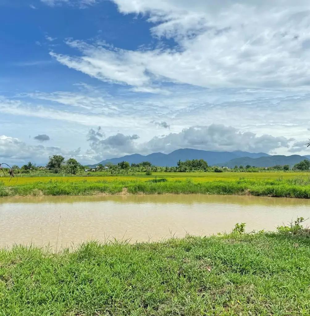 Main-Bán lô đất Thôn Ninh Thuận - Hàm Chính - Hàm Thuận Bắc - Bình Thuận-1
