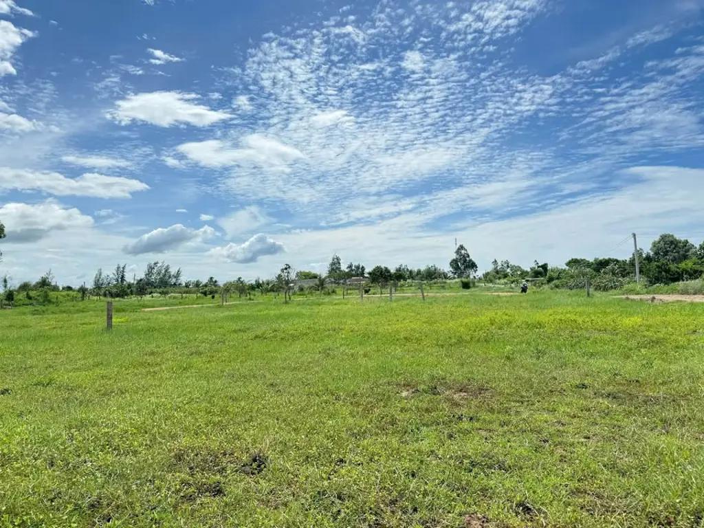 Main-Bán lô đất Thôn Ninh Thuận - Hàm Chính - Hàm Thuận Bắc - Bình Thuận-0
