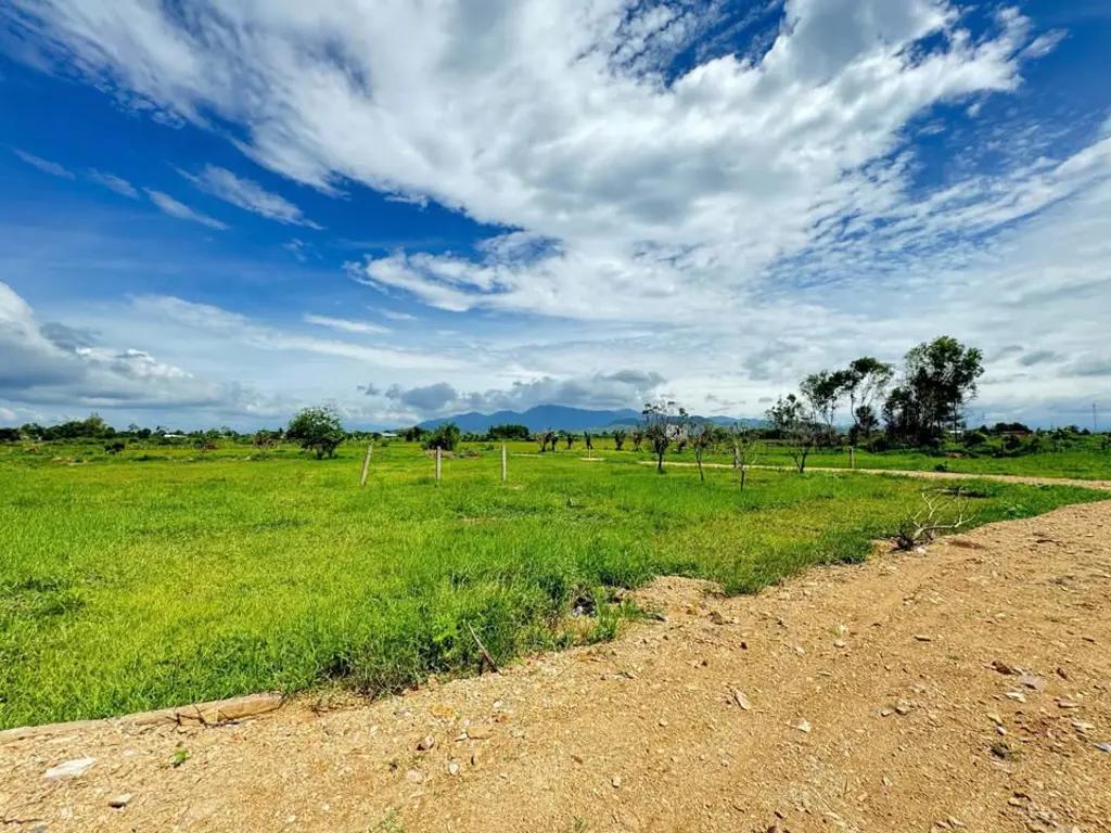 Main-Bán lô đất Thôn Ninh Thuận - Hàm Chính - Hàm Thuận Bắc - Bình Thuận-2