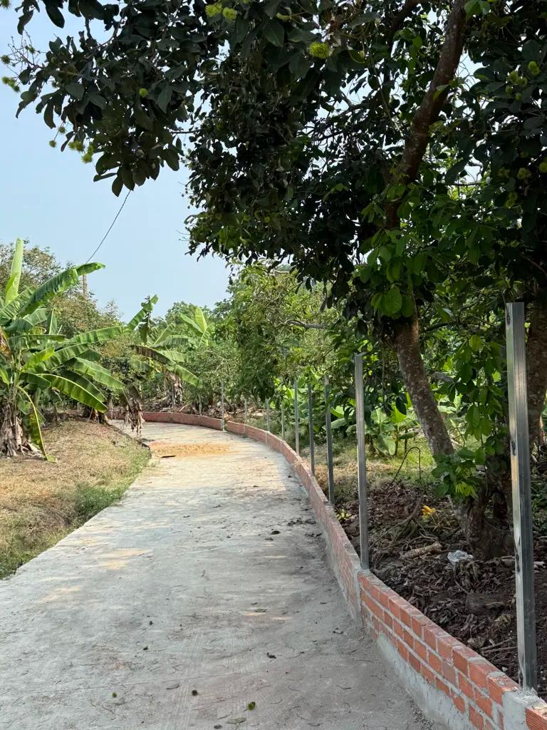 Main-🌿 SỞ HỮU ĐẤT VƯỜN SIÊU ĐẸP TẠI THỐNG NHẤT – DẦU GIÂY💰 Chỉ 880 triệu/sào-2