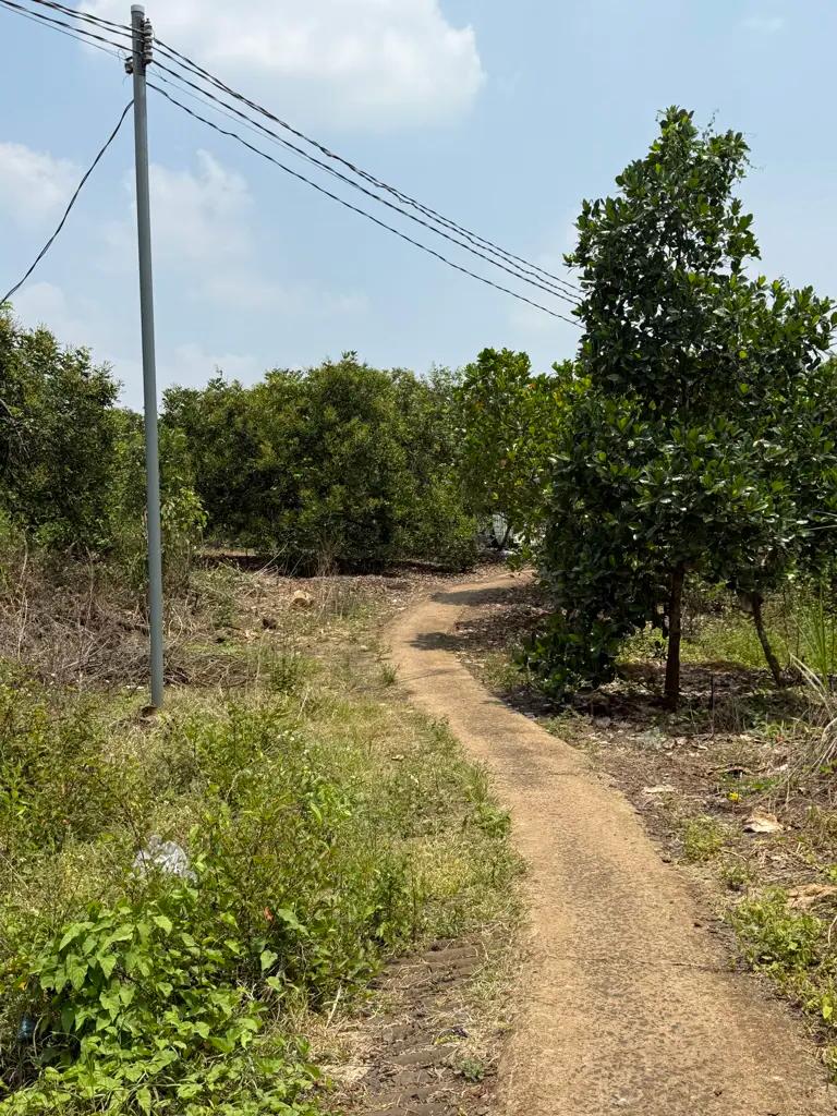 Main-🌿 SỞ HỮU ĐẤT VƯỜN SIÊU ĐẸP TẠI THỐNG NHẤT – DẦU GIÂY💰 Chỉ 880 triệu/sào-4