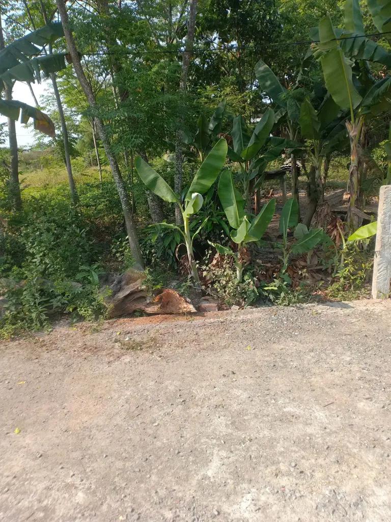 Main-Lô đất Nhơn Thọ 1 – Hòa Phước – gần Trường Nguyễn Văn Linh-1