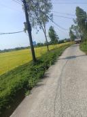 Thumb-Lô đất Nhơn Thọ 1 – Hòa Phước – gần Trường Nguyễn Văn Linh-1