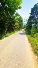 Thumb-🌺🌺🌺 Đất phù hợp làm nhà vườn thuộc mặt tiền đường nhựa DT 614 việt an hiệp đức.-3