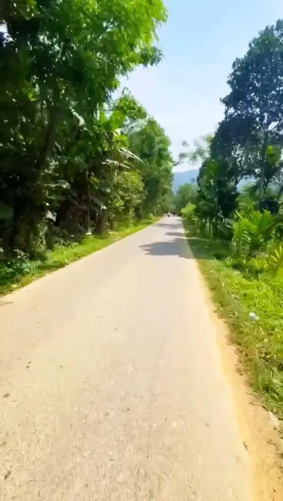Main-🌺🌺🌺 Đất phù hợp làm nhà vườn thuộc mặt tiền đường nhựa DT 614 việt an hiệp đức.-2
