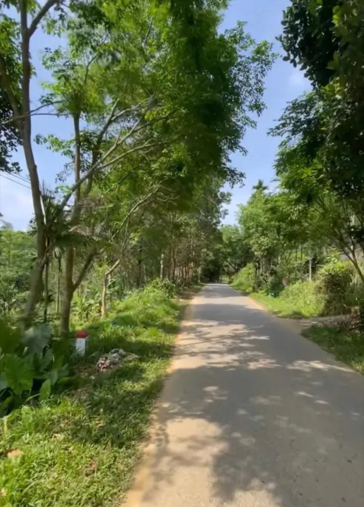🌺🌺🌺 Đất phù hợp làm nhà vườn thuộc mặt tiền đường nhựa DT 614 việt an hiệp đức.