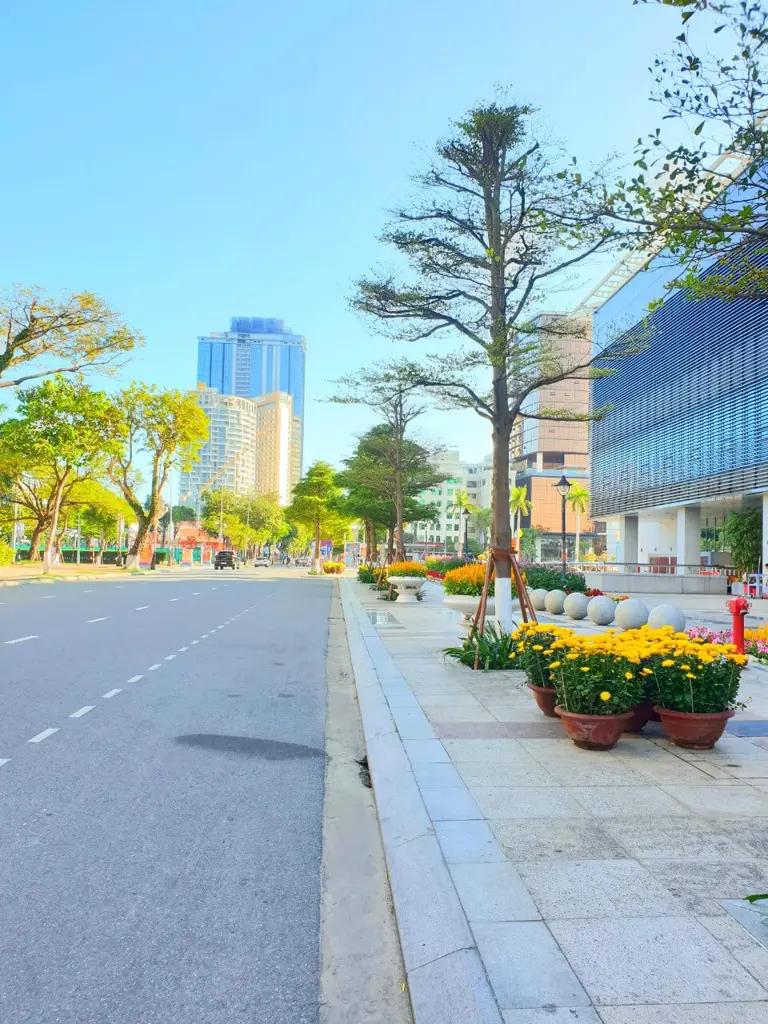 Main-2 Lô liền Kề - Võ Nguyên Giáp - 314m2 - 45 tỷ-2