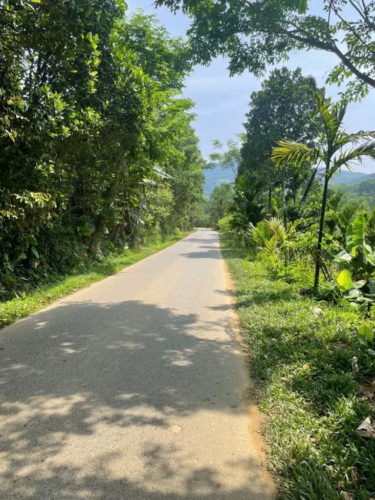 Main-🌺🌺🌺 Đất phù hợp làm nhà vườn thuộc mặt tiền đường nhựa DT 614 việt an hiệp đức.-1