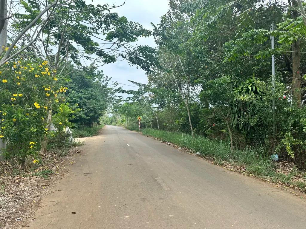Main-Chủ gửi bán gấp lô đất vườn giá tốt 410tr/1000m2 tại Định Quán-2