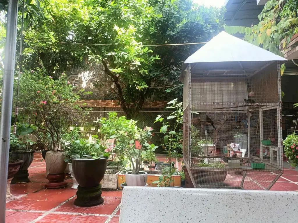 Main-Căn nhà sân vườn phù hợp để nghỉ dưỡng ngay trung tâm Hải Châu, TP. Đà Nẵng-3