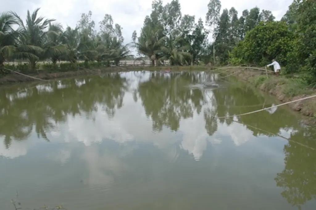 Main-Chính chủ bán giá ngợp lô đất vườn có ao nhỏ giá 585tr/1000m2 tại Định Quán-0