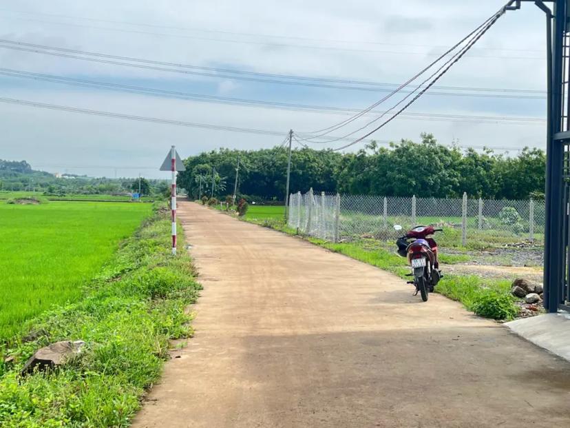 Bán gấp lô đất thổ cư ba mẹ cho lúc ra riêng 180m2 giá rẻ Tại Thống Nhất