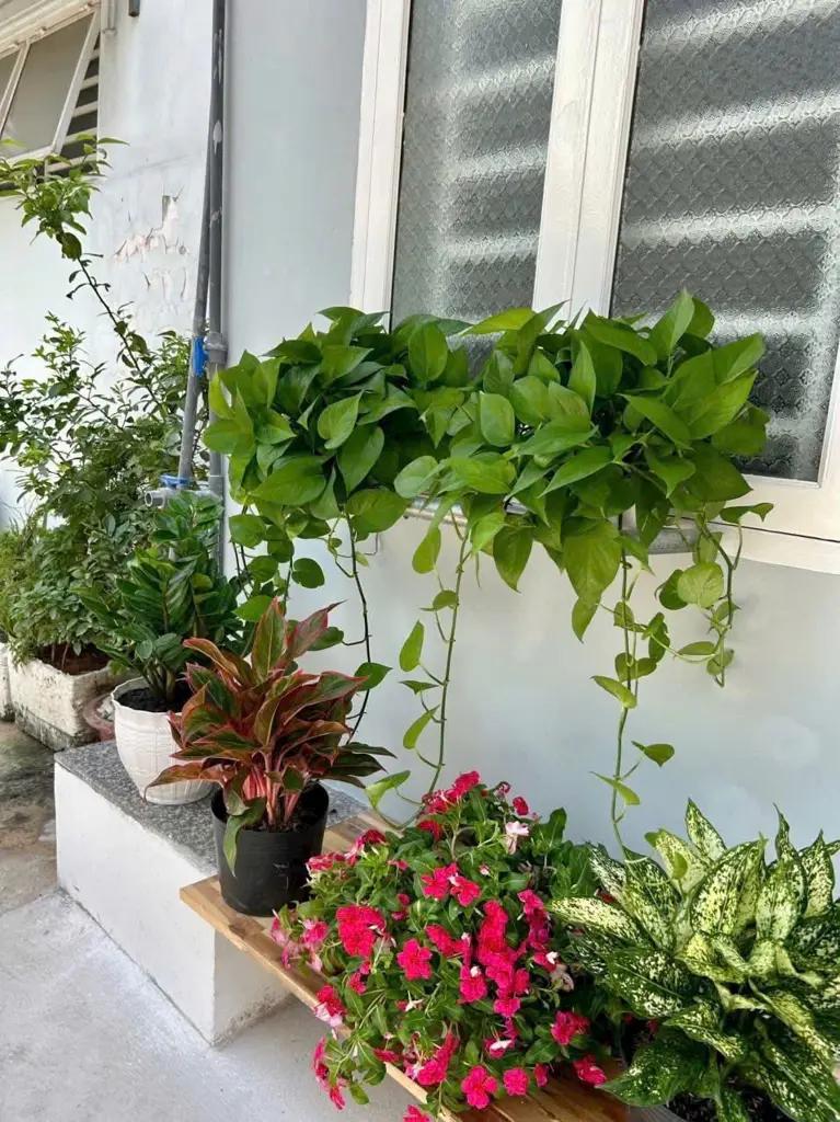 Main-Nhà bán thới tam thôn, hóc môn-1