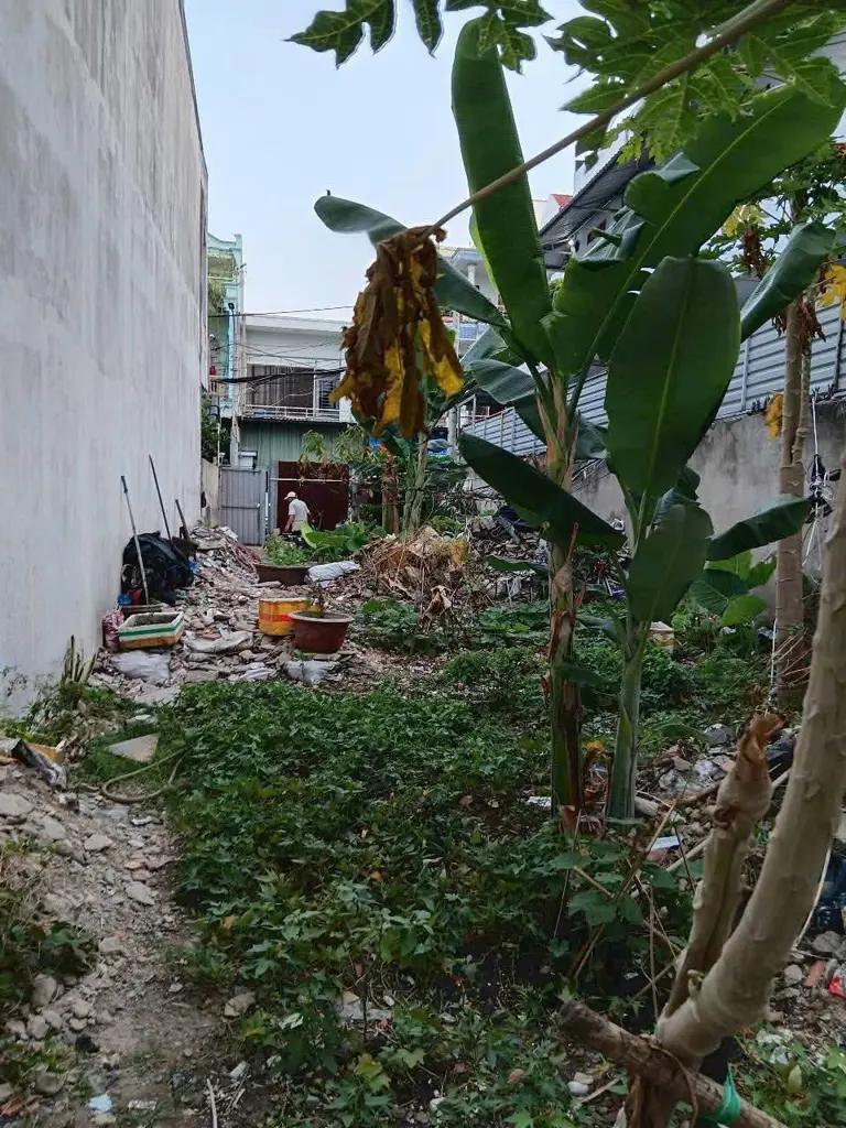 Main-Đất bán-0