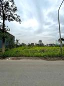 Thumb-LÔ ĐẤT BIỆT THỰ ĐẸP TẠI ANH DŨNG V- CÁCH MẶT ĐƯỜNG 353 PHẠM VĂN ĐỒNG 50M-4