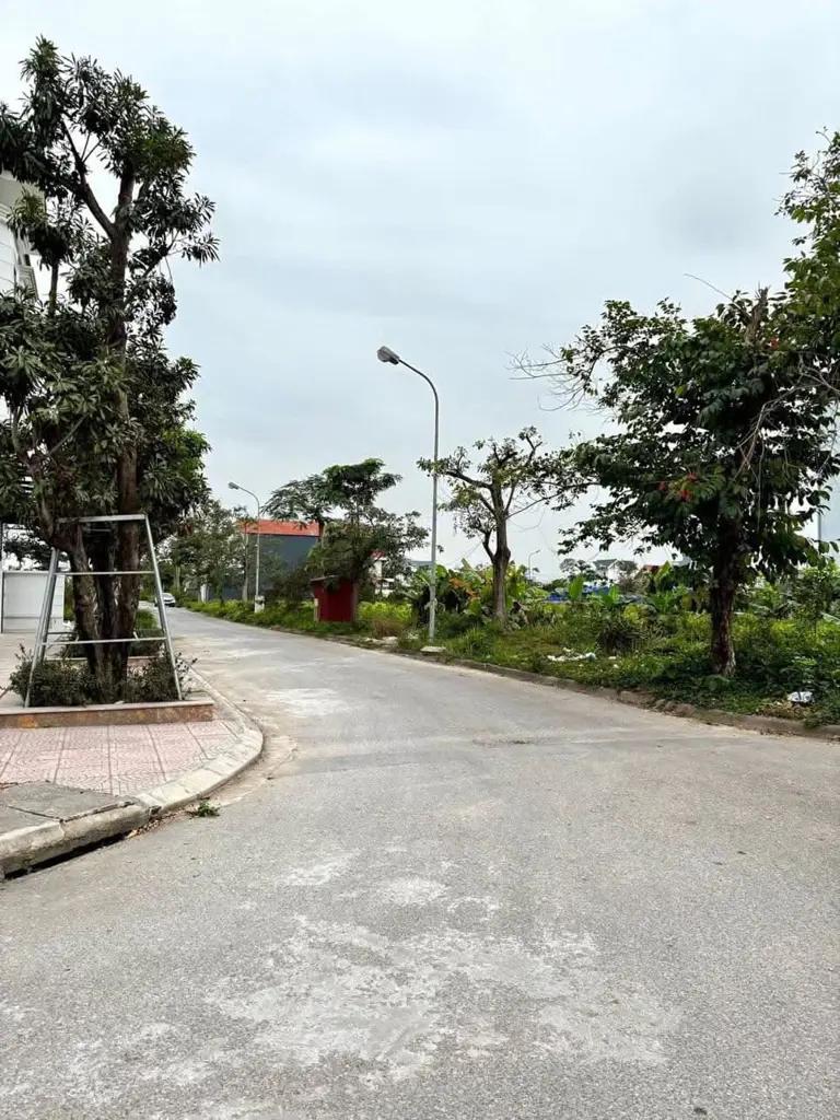 Main-LÔ ĐẤT BIỆT THỰ ĐẸP TẠI ANH DŨNG V- CÁCH MẶT ĐƯỜNG 353 PHẠM VĂN ĐỒNG 50M-2