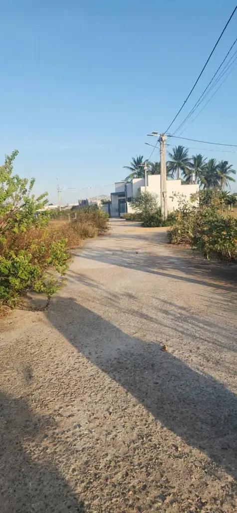 Main-Bán Lô Đất Phong Nẫm-0