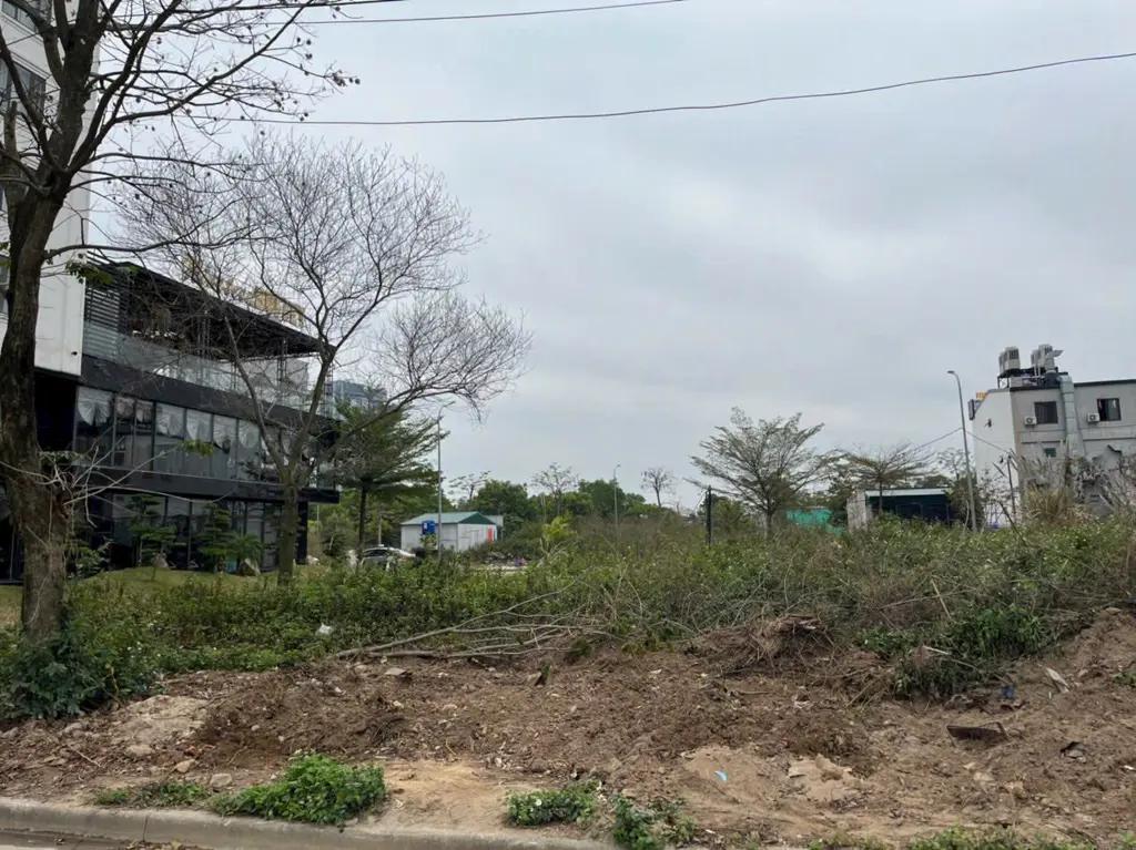 Main-Bán ô đất khu đa giác 4 đẹp phường Hùng Thắng, Tp. Hạ Long-1
