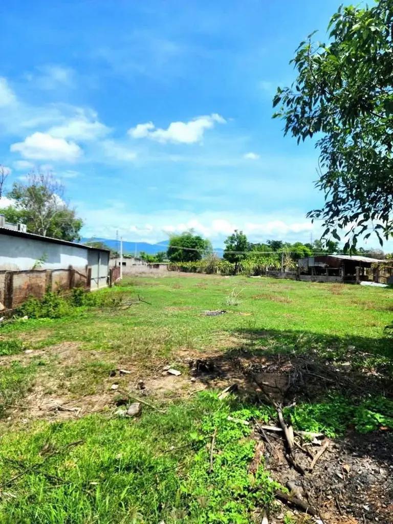 Main-Chỉ 1 tỉ 650 triệu cho lô đất mặt đường nhựa 1800m2 đất CLN Hàm Chính - Hàm Thuận Bắc-2