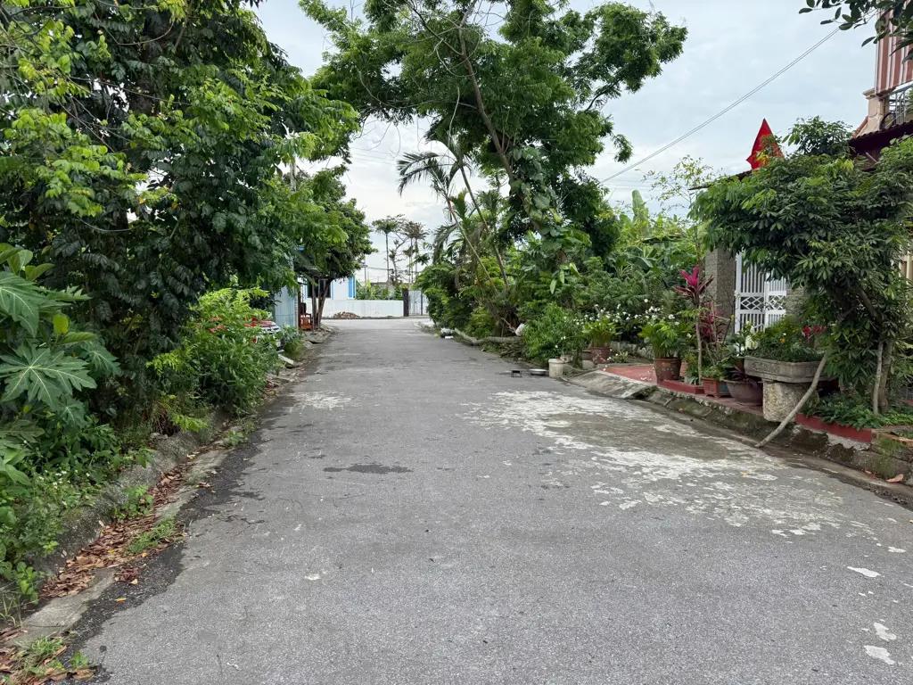 Main-Tái Định Cư Minn Khai - Mỹ Đức - An Lão-0