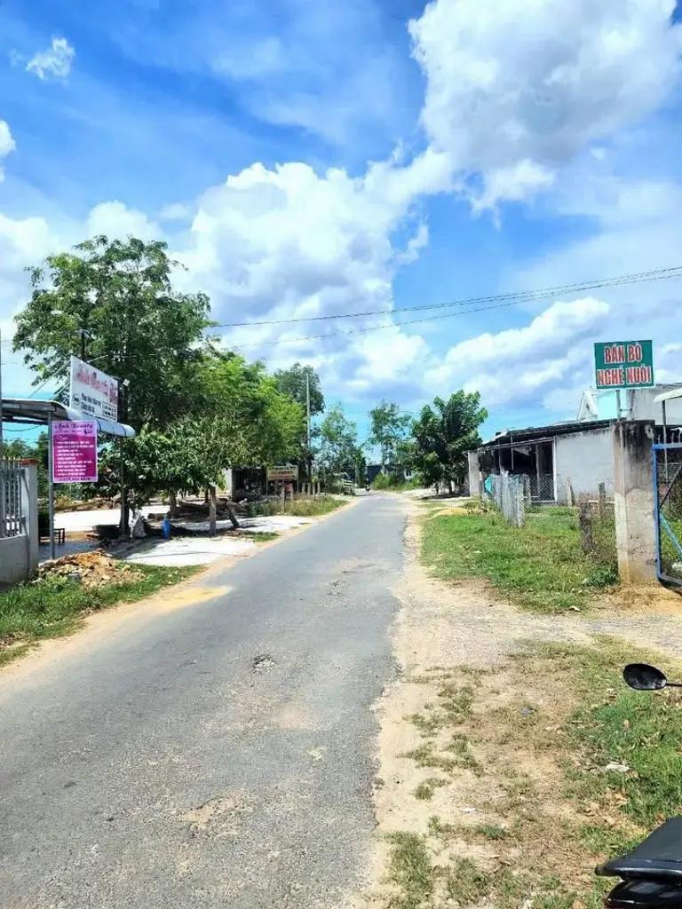 Chỉ 1 tỉ 650 triệu cho lô đất mặt đường nhựa 1800m2 đất CLN Hàm Chính - Hàm Thuận Bắc