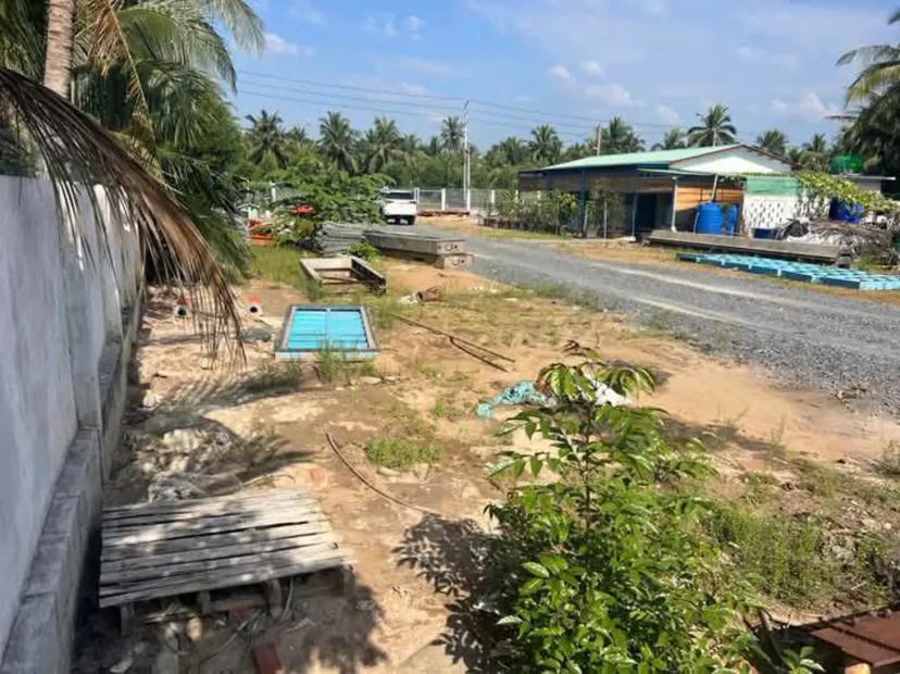 HÀNG HIẾM GIỮA LÒNG GIỒNG TRÔM