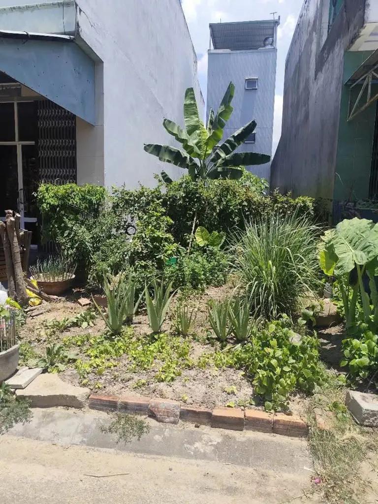 Main-Bán lô đất mặt tiền Mai Chí Thọ, Phường Trần Quang Diệu, Quy Nhơn-2