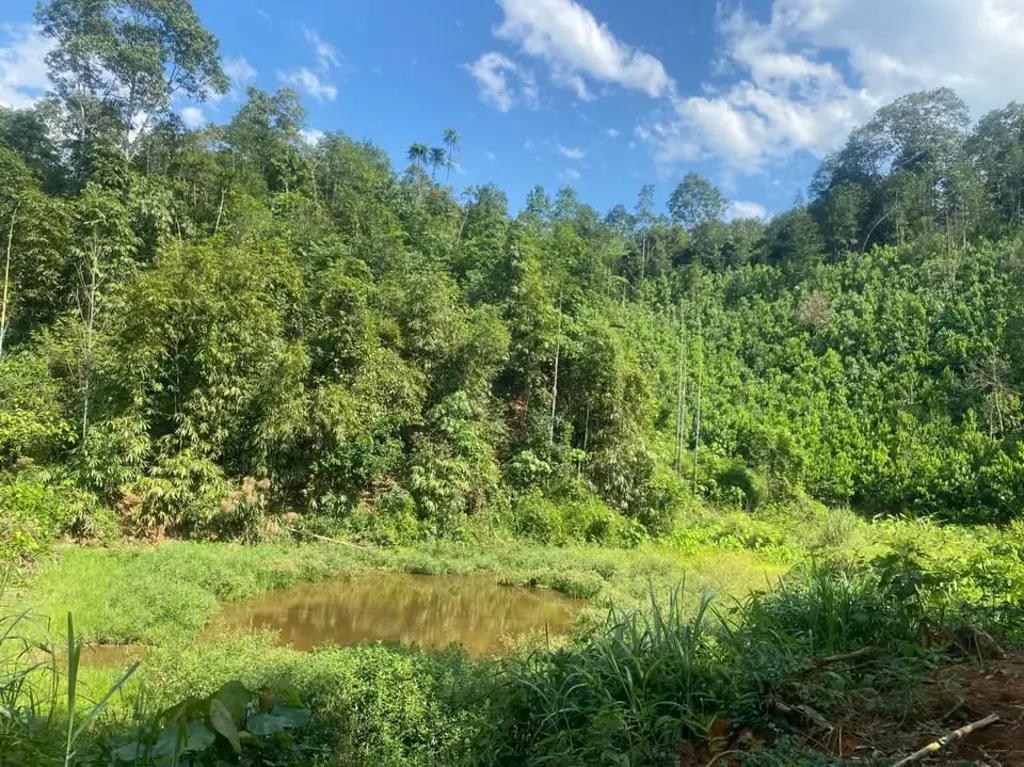 Main-Bán trang trại  thôn Giao Tiến, Thống Nhất, Thành Phố Lào Cai-3