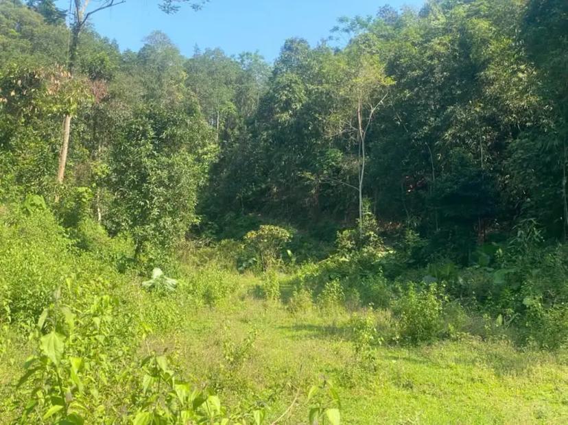 Bán trang trại  thôn Giao Tiến, Thống Nhất, Thành Phố Lào Cai