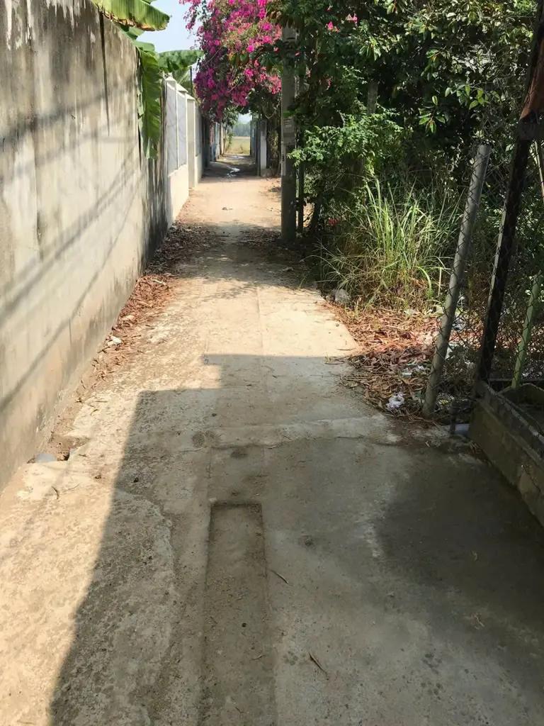 Main-Bán Nhanh Nhà Cấp 4 , Khu Dân Cư Xã Phú Hữu , Nhơn Trạch , Đồng Nai-2