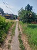 Thumb-Bán đất Cần Giuộc, Long An-2