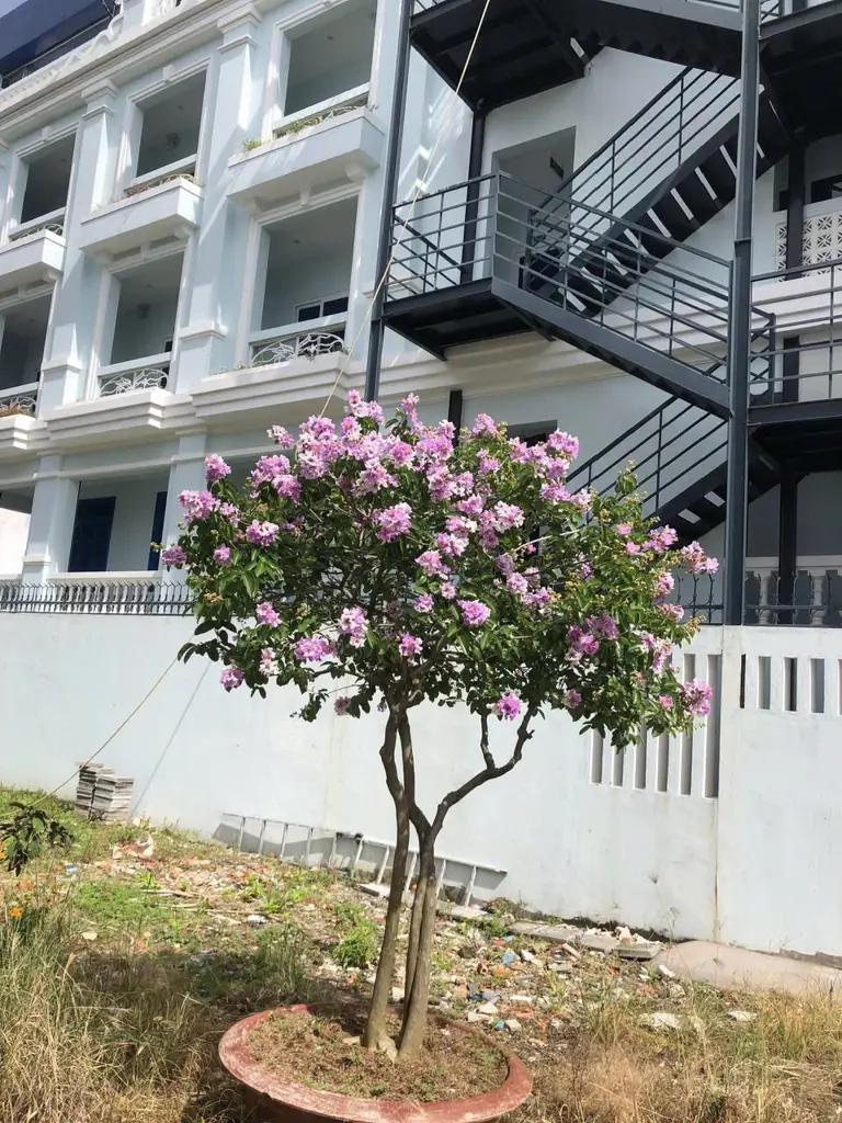 Main-Bán homestay 4 tầng đường Nguyễn Hữu Trí Cồn Khương, P. Cái Khế, Q. Ninh Kiều, Tp Cần Thơ-4