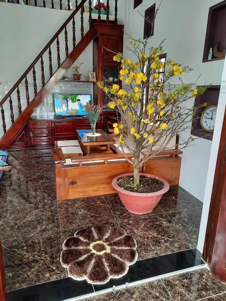 Main-BÁN NHÀ PHONG NẪM, HẺM 161 ĐẶNG VĂN LÃNH, TP PHAN THIẾT-2