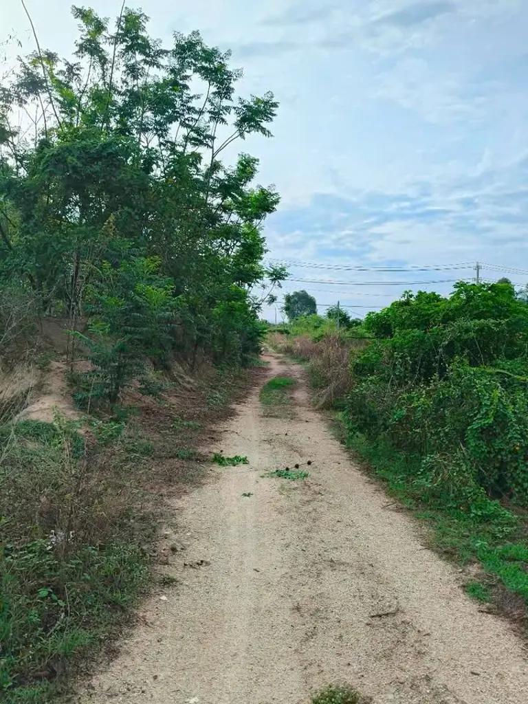 Bán Nhanh 2 Sào 3 Cây Trồng Thôn 4 Hồng Sơn, Hàm Thuận Bắc