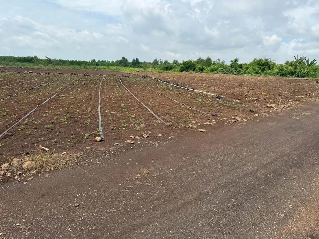 Main-Bán 3 sào Phước Long Thọ - huyện Long Đất- mặt tiền 67 mét-1