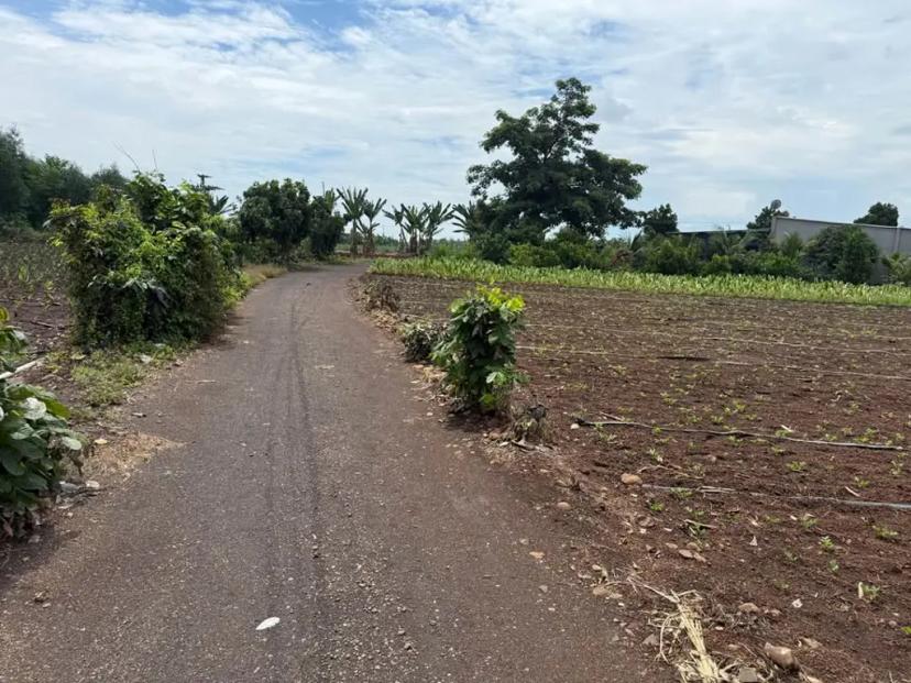 Bán 3 sào Phước Long Thọ - huyện Long Đất- mặt tiền 67 mét