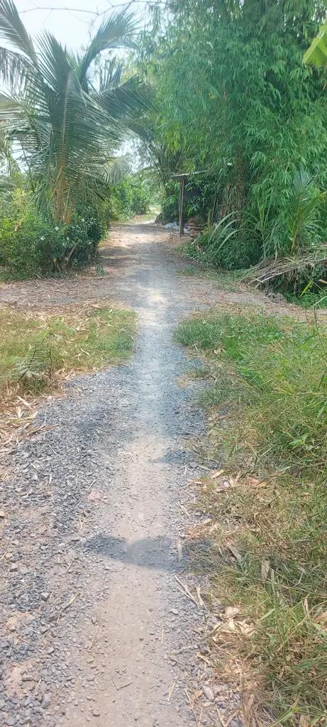 Main-Bán gấp 3700m2 đất lúa xã Phương Trà, Cao Lãnh, Đồng Tháp-1