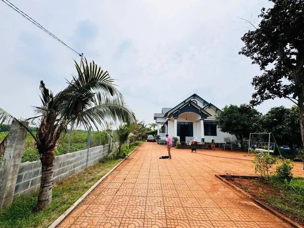 Main-Nhà Vườn Trung Tâm Thị Trấn Đất Đỏ - Huyện Long Đất - Gần Biển Phước Hải-2