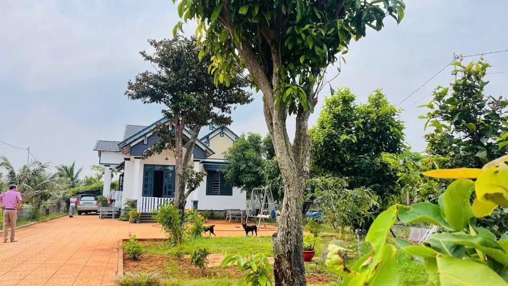 Main-Nhà Vườn Trung Tâm Thị Trấn Đất Đỏ - Huyện Long Đất - Gần Biển Phước Hải-8