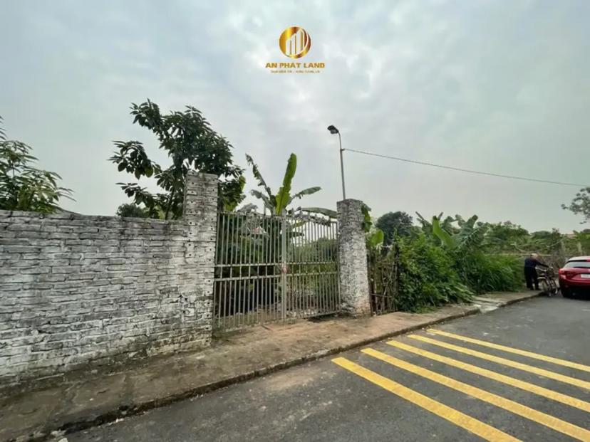 BÁN LÔ ĐẤT KIM PHÚ, NINH KHANG, HOA LƯ