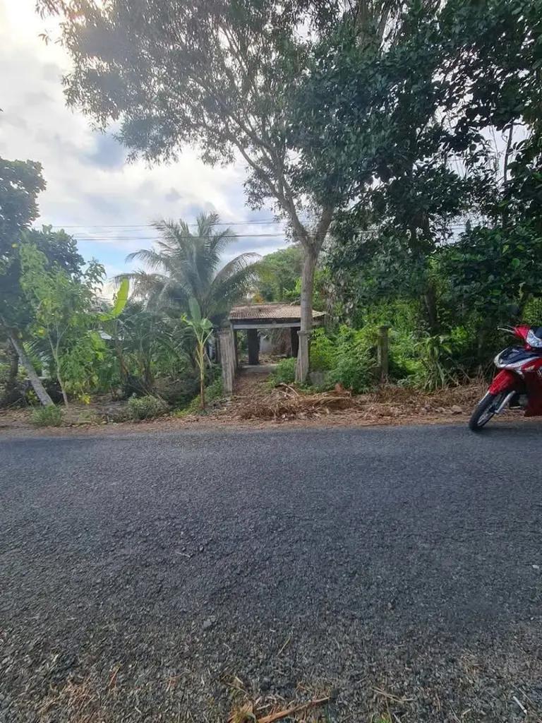 Main-NỀN LỘ NHỰA Ô TÔ ĐƯỜNG VỊ BÌNH, XÃ HOẢ LỰU, TP. VỊ THANH, HẬU GIANG-0