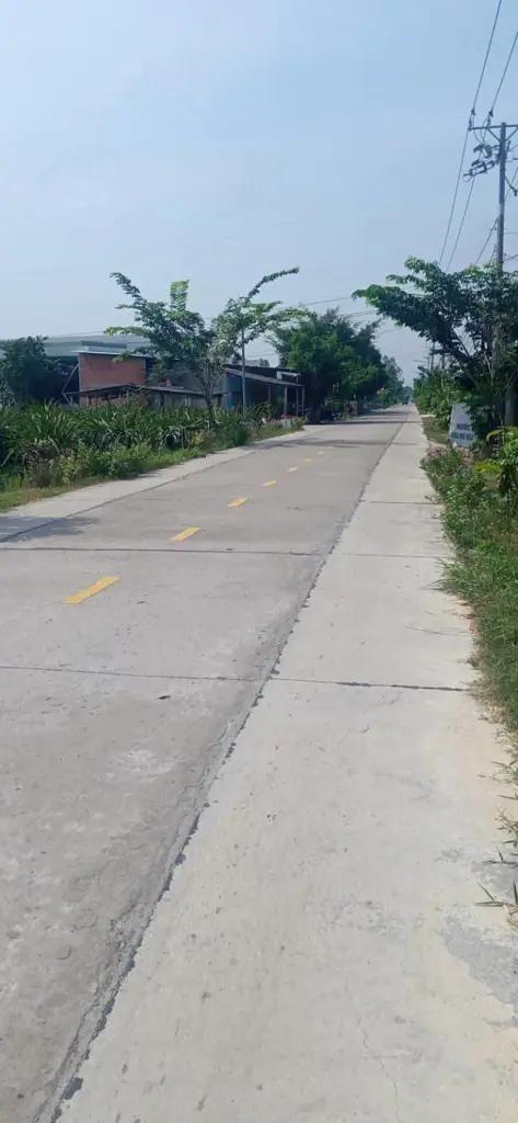 Main-BÁN NỀN ĐẤT THỔ MẶT TIỀN ĐƯỜNG LỘ DỪA XÃ VĨNH CÔNG, CHÂU THÀNH, LONG AN-1