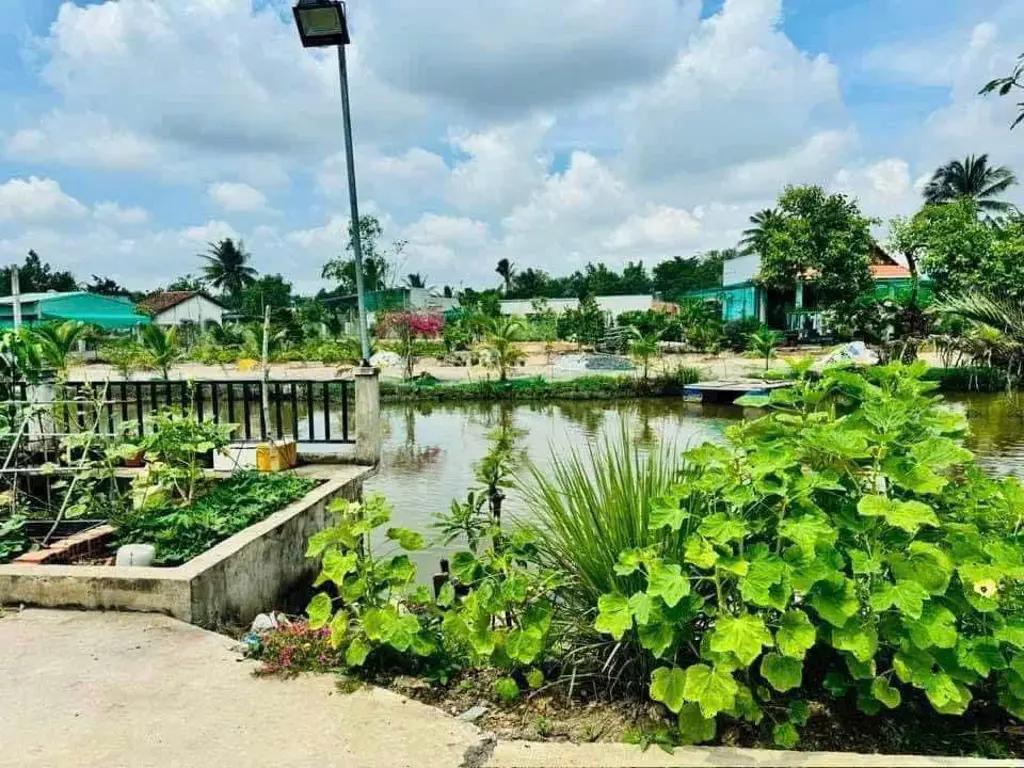 Main-Bán nền thổ cư view sông tại Ấp 1A, xã Thanh Phú, Bến Lức-1