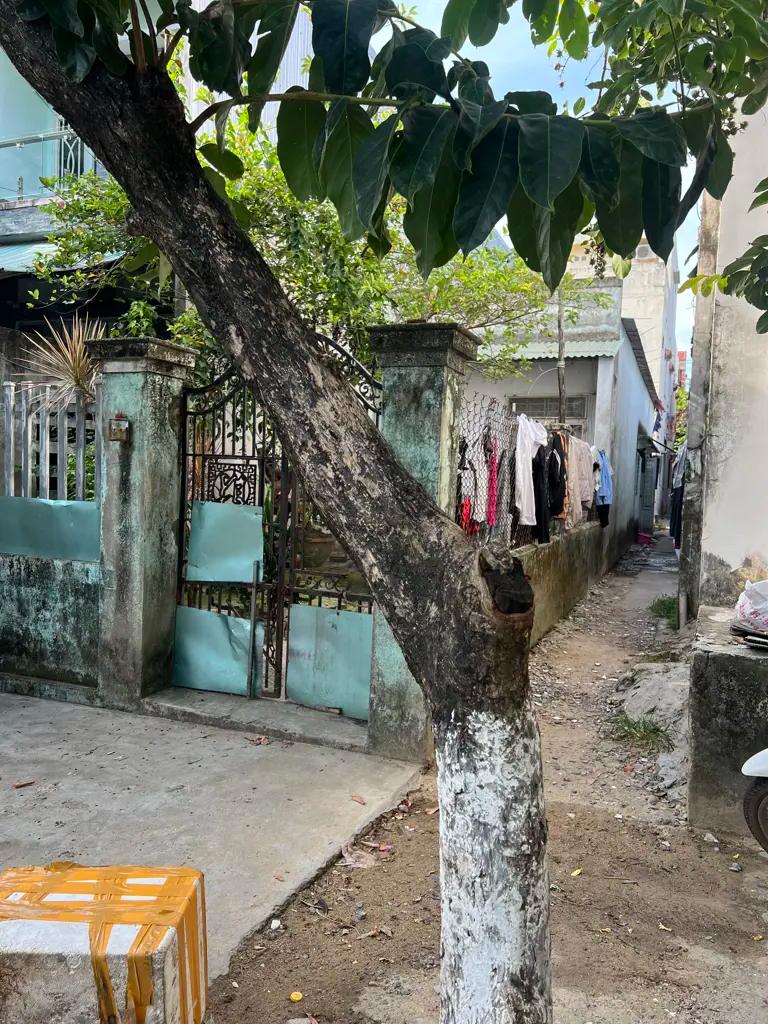 Main-🔥 BÁN ĐẤT TẶNG NHÀ C4 – MẶT TIỀN ĐƯỜNG 5M5 – SƠN TRÀ, ĐÀ NẴNG 🔥-0