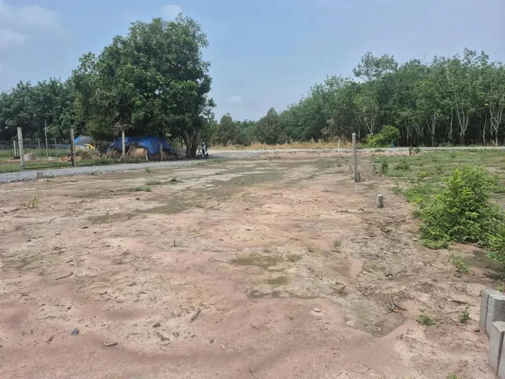 Main-Đất thổ cư đường ô tô chỉ 260tr Lộc Ninh, DMC-2
