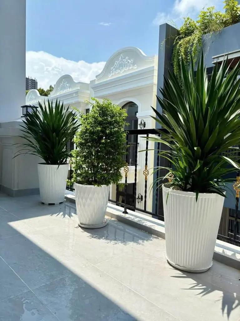 Main-Bán nhà đường Trương Công Định, P.7, Vũng Tàu-2